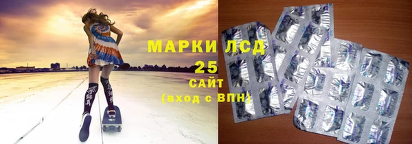 индика Балахна