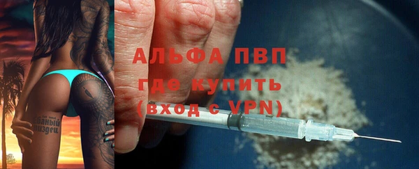 индика Балахна