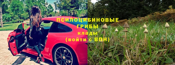 прущие крисы Балабаново