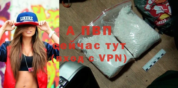 индика Балахна