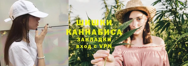 индика Балахна
