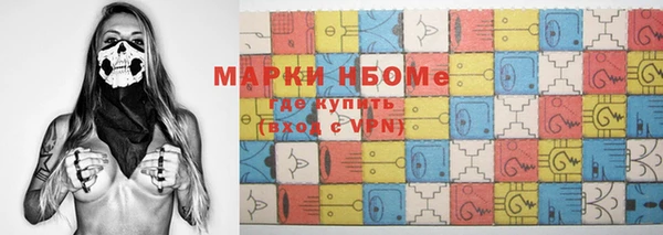 индика Балахна