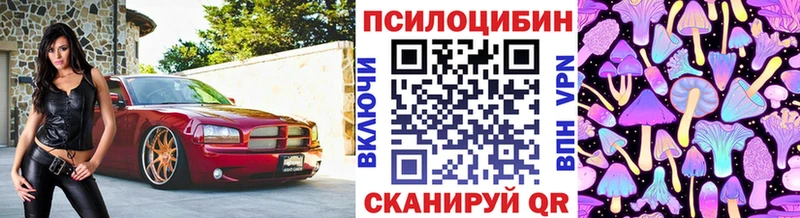 Галлюциногенные грибы прущие грибы  Лесной 